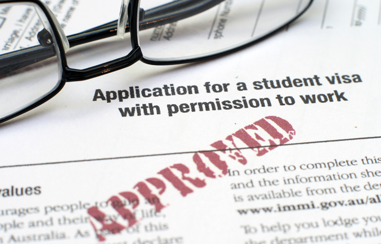 study permit visa